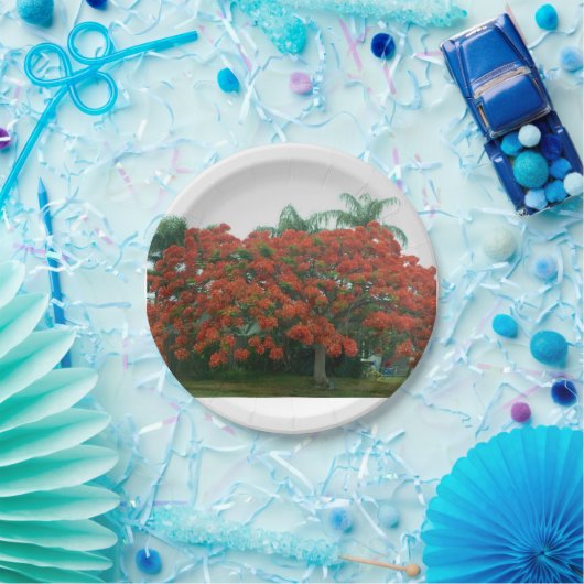 Papierplatte Pappteller (Party)