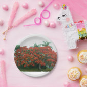 Papierplatte Pappteller (Party)