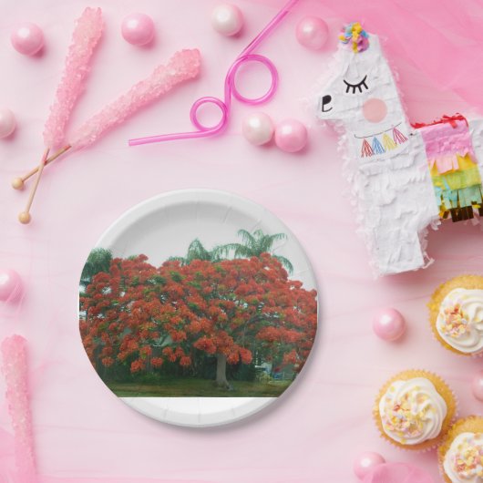 Papierplatte Pappteller (Party)