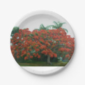 Papierplatte Pappteller (Vorderseite)