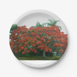 Papierplatte Pappteller