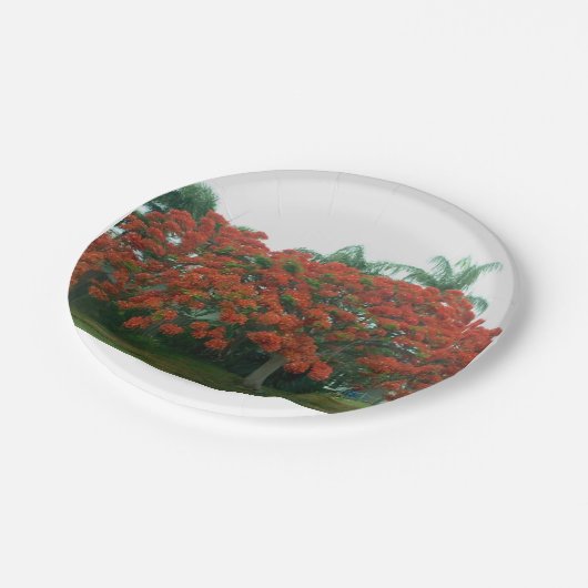 Papierplatte Pappteller (Schrägansicht)