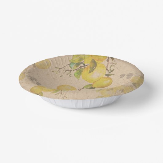 Papierplatte Pappteller (Gewinkelt)