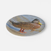 Papierplatte Pappteller (Schrägansicht)