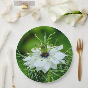 Papierplatte Pappteller
