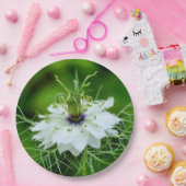 Papierplatte Pappteller (Party)