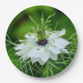 Papierplatte Pappteller (Vorderseite)