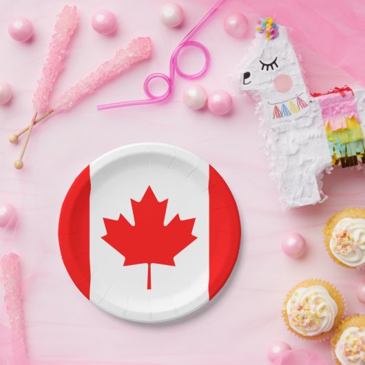 Papierplatte Pappteller (Party)