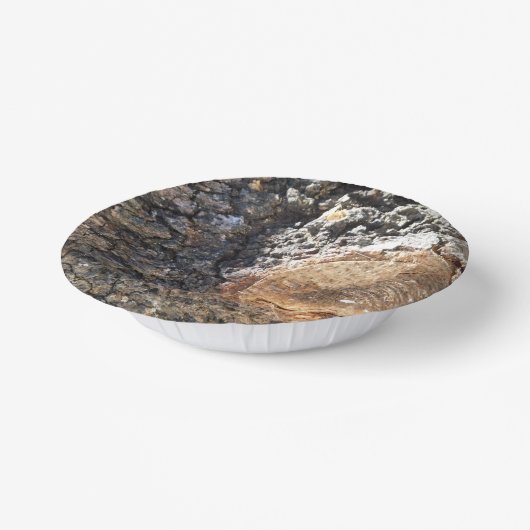 Papierplatte Pappteller (Gewinkelt)