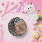 Papierplatte Pappteller (Party)