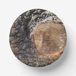 Papierplatte Pappteller