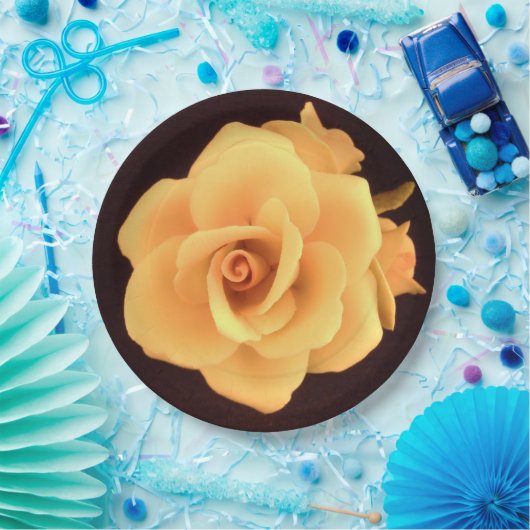 Papierplatte Pappteller (Party)