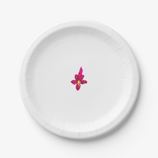 Papierplatte Pappteller (Vorderseite)