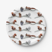 Papierplatte Pappteller (Vorderseite)