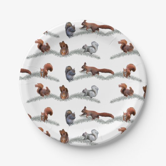 Papierplatte Pappteller (Vorderseite)