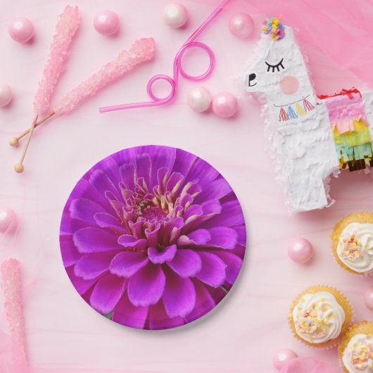 Papierplatte Pappteller (Party)