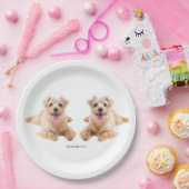 Papierplatte Pappteller (Party)