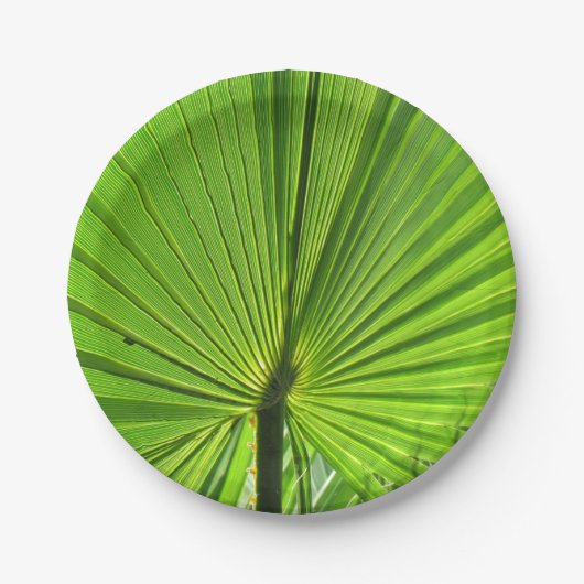 Papierplatte - Tropenpalme Pappteller (Vorderseite)