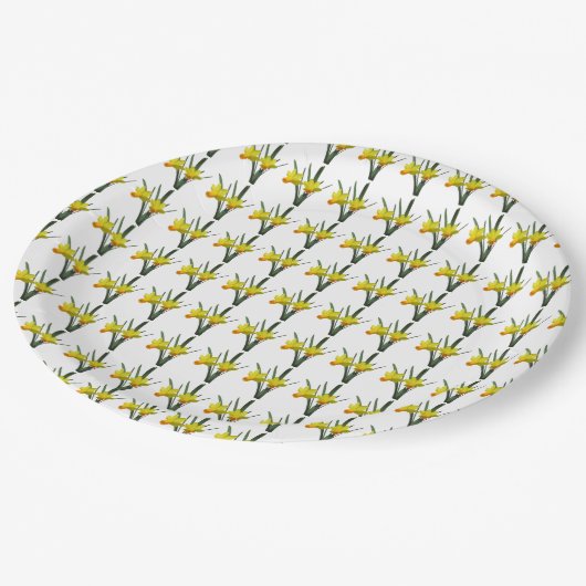 Papierplatte - Warenfeld Pappteller (Schrägansicht)