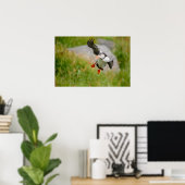 Papierposter mit fliegendem Papageitaucher Poster (Heimbüro)