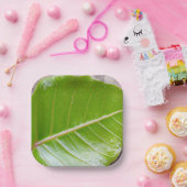 Papierquadrat mit Leaf-Design Pappteller (Party)