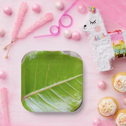Papierquadrat mit Leaf-Design Pappteller (Party)