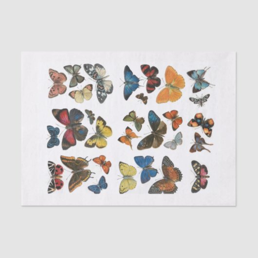 Papierschmetterlingseigenschaft Seidenpapier (Vorderseite)