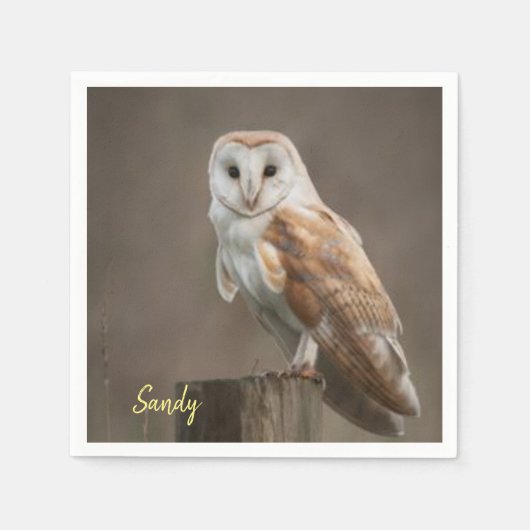 Papierschuhe Serviette (Vorderseite)