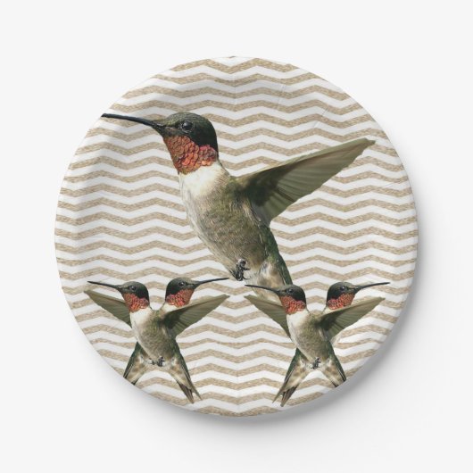 Papierschüsseln Vogel Pappteller (Vorderseite)