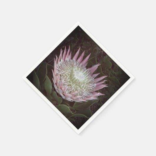 Papierservietten (Ecke)