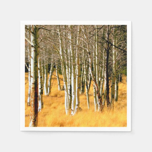 Papierservietten aus Aspen (Vorderseite)