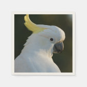 Papierservietten Kakadu (Vorderseite)