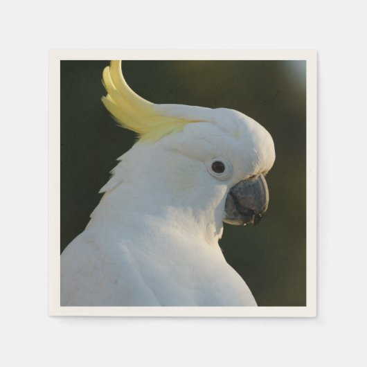 Papierservietten Kakadu (Vorderseite)