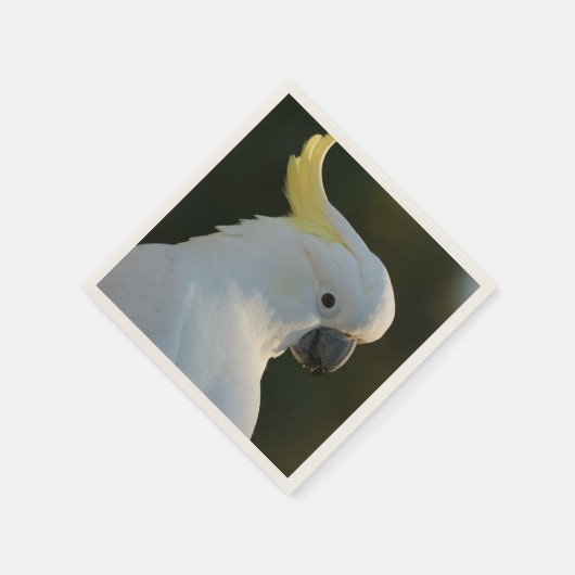 Papierservietten Kakadu (Ecke)