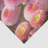 Papiertafel für die rosa Blume Seidenpapier (Ausschnitt)