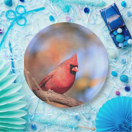 Papiertafel mit Bild des männlichen nördlichen Kar Pappteller (Party)