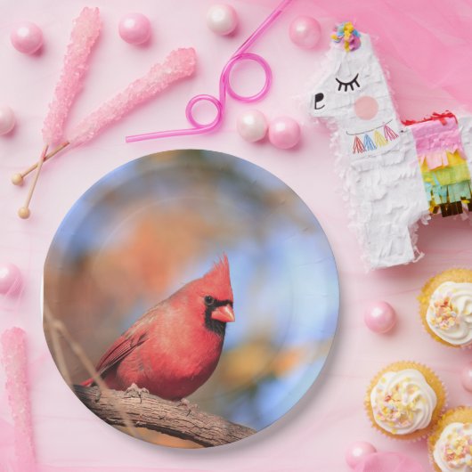 Papiertafel mit Bild des männlichen nördlichen Kar Pappteller (Party)