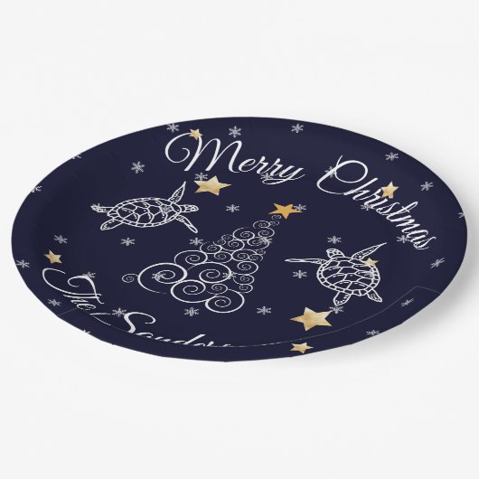 Papiertafel Pappteller (Schrägansicht)