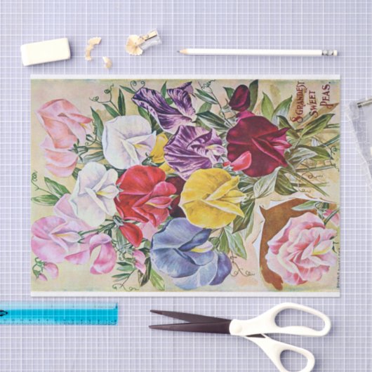 Papiertaschentuch für antike Platterbsen Seidenpapier (Handwerk)