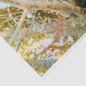 Papiertaschentuch Seidenpapier (Ausschnitt)