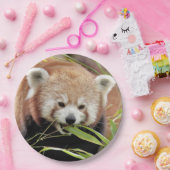 Papierteller Foto roter Panda. Panda roux. Tiere. (Party)