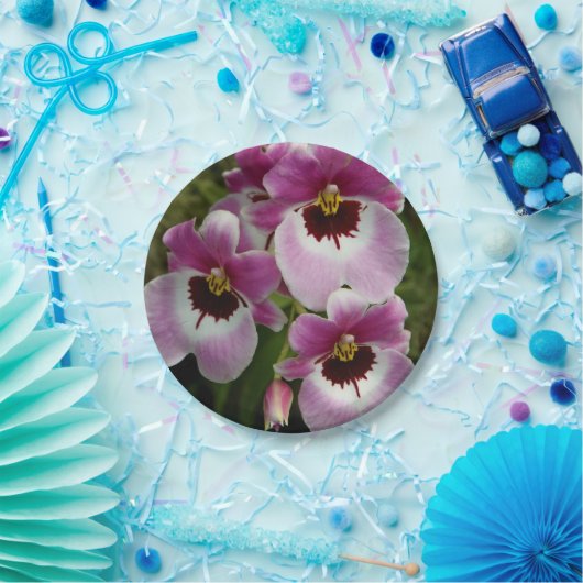 PapierTeller - Pansy-Orchidee (Party)