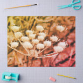 Papiertücher + Entpackpapier - Erste Freeze Seidenpapier (Basteln)