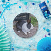 Papiertüte aus schwarzem und weißem Kaninchen Pappteller (Party)