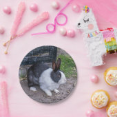 Papiertüte aus schwarzem und weißem Kaninchen Pappteller (Party)