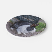 Papiertüte aus schwarzem und weißem Kaninchen Pappteller (Schrägansicht)