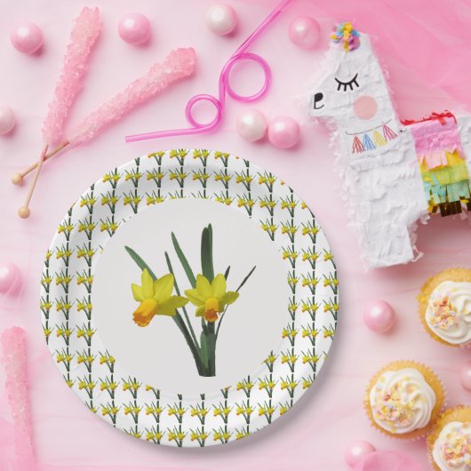 Papiertüte Pappteller (Party)