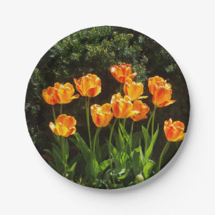 Papiertüte Pappteller