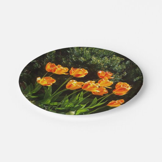 Papiertüte Pappteller (Schrägansicht)