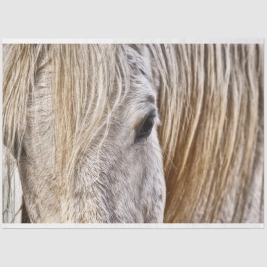 Papiertüte Seidenpapier (Vorderseite)